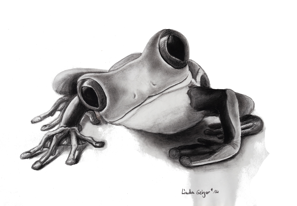 Froggy der Frosch, Originalgröße 40x60cm